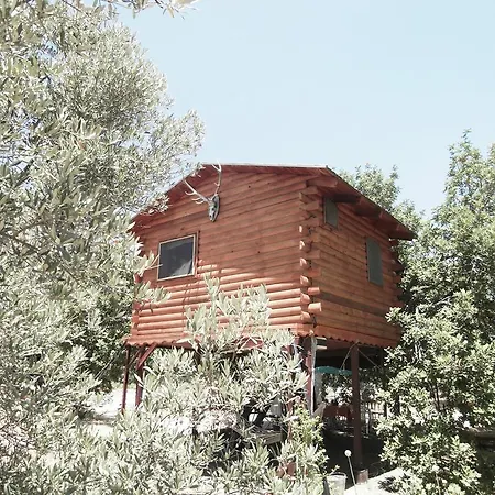 Kapiyani Tree House Месудие