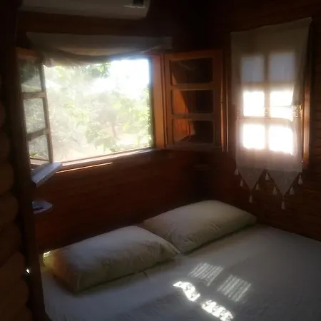 Kapiyani Tree House * Месудие