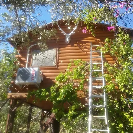 Кемпинг Kapiyani Tree House *