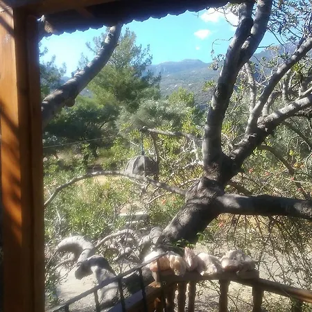 Kapiyani Tree House Кемпинг Месудие