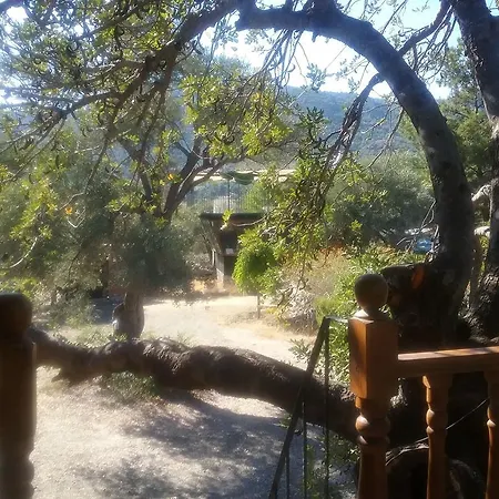 Kapiyani Tree House * Месудие