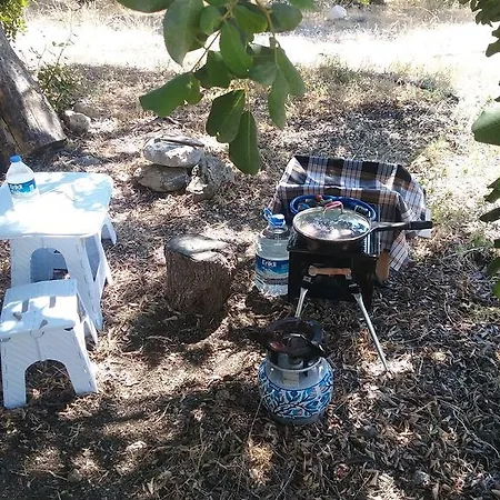 Kapiyani Tree House * Месудие