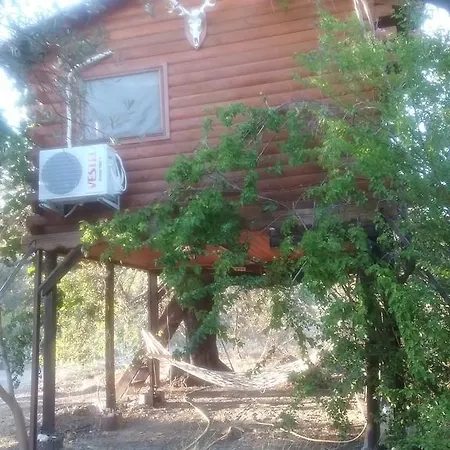 Kapiyani Tree House * Месудие