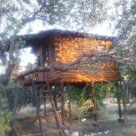 Kapiyani Tree House * Месудие